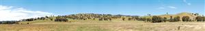 Backscene Near Myrtleford (1) Victoria  - 2.75m x 420mm